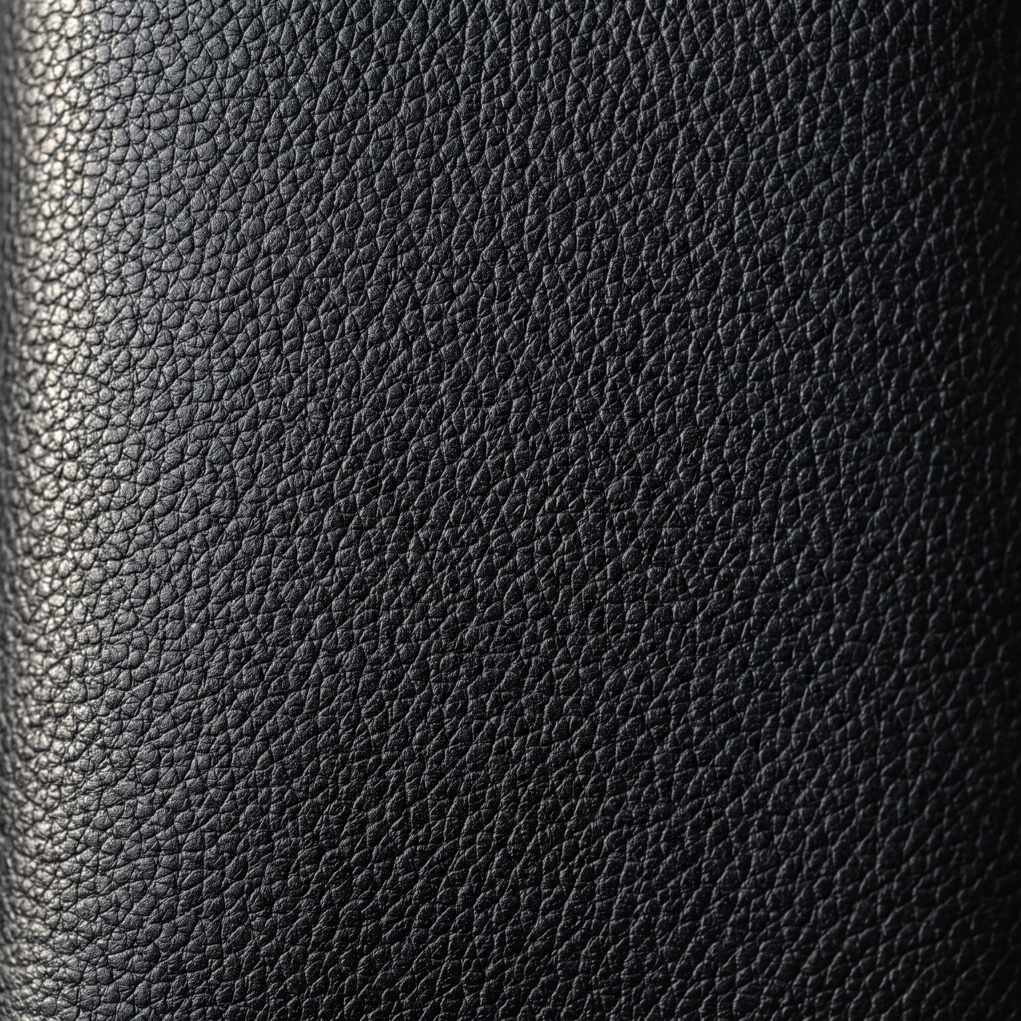 Pebbled calfskin, macro