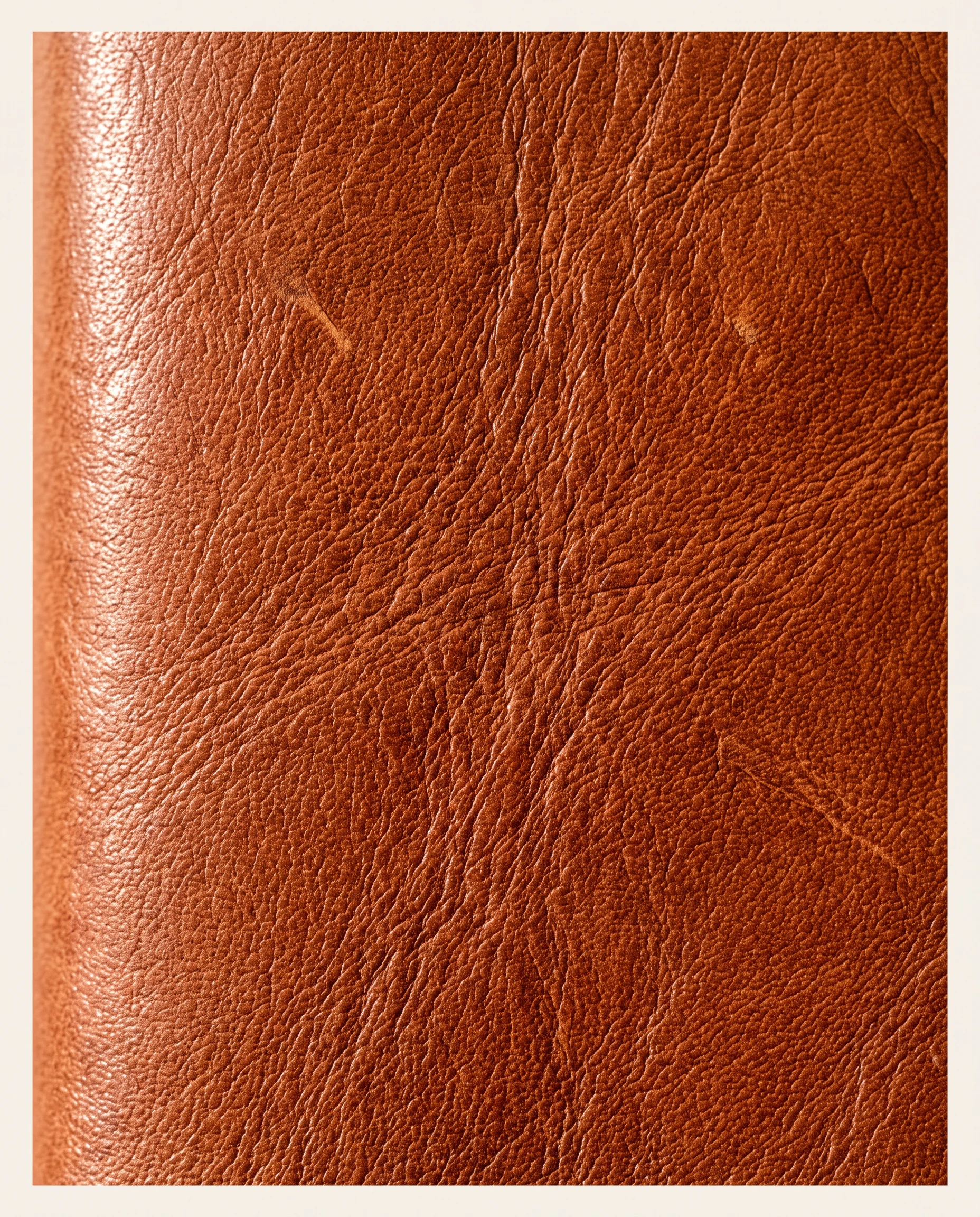 Passport Folio, materials