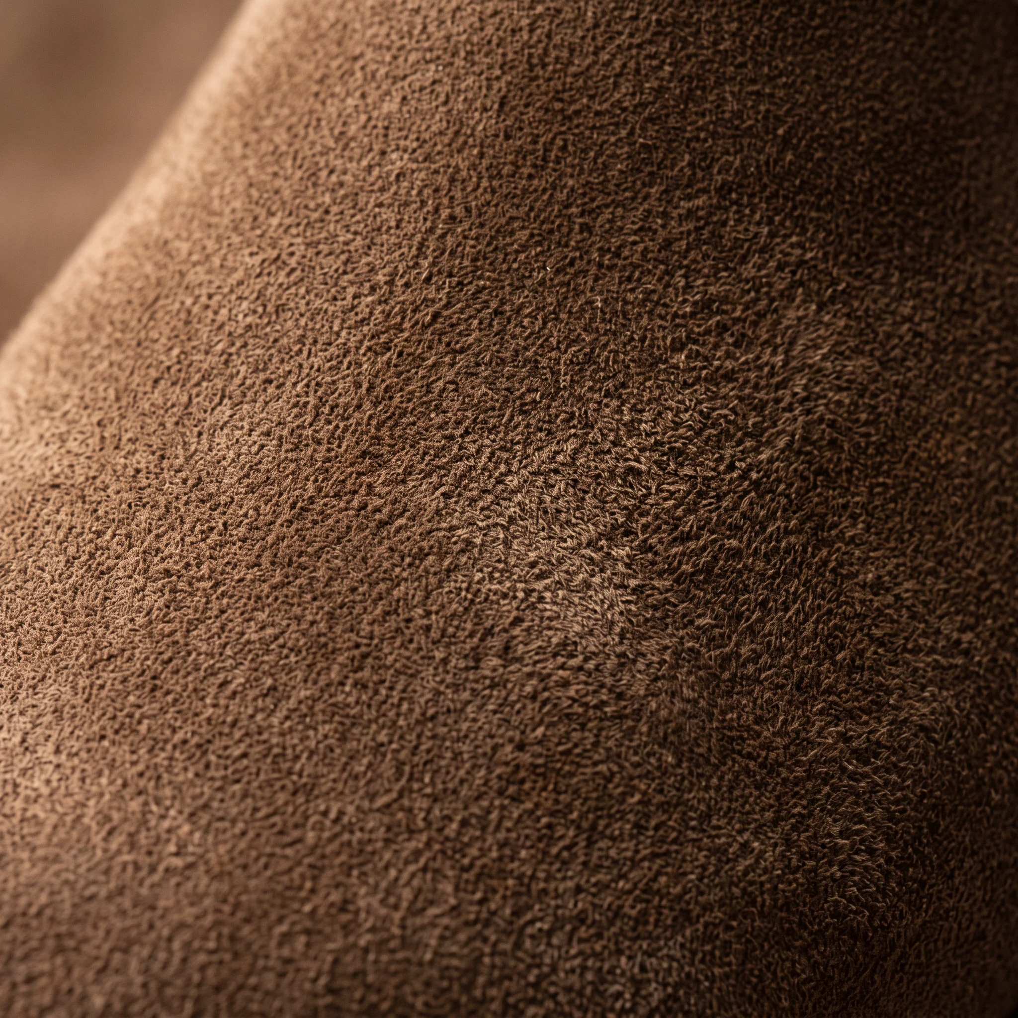 Suede, macro
