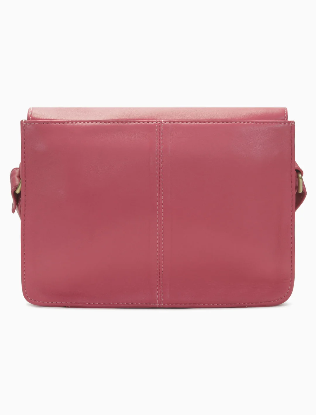 Clasp Messenger, Rose, detail